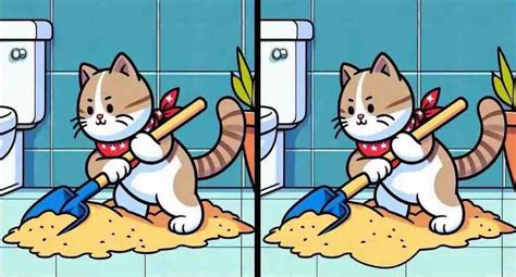 Pouvez Vous Trouver Les Trois Diff Rences Entre Les Images D Un Chat