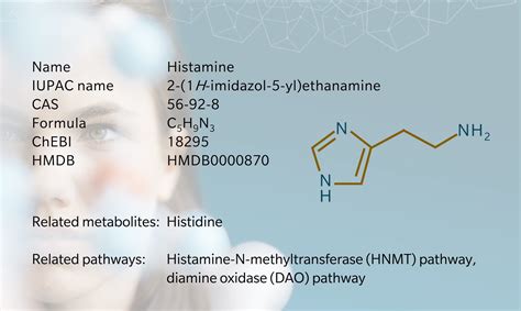 Metabolite Of The Month Histamine Biocrates Life Sciences Ag