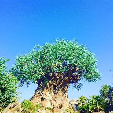 The Tree of Life Has Over 300 Carvings | Fun Facts About Disney's Animal Kingdom | POPSUGAR ...