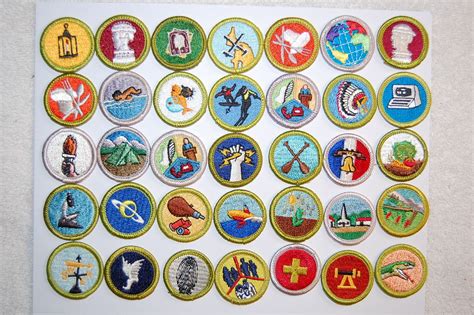 35 Different Boy Scout Plastic Back Merit Badges Lot 3 Antique