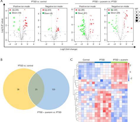 Figure 2 From Integrated Transcriptomic And Metabolomic Analysis Of Rat Serum To Investigate