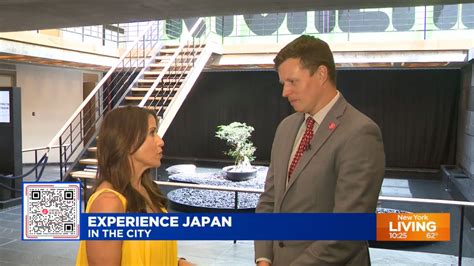 Japan Society And The Kyohei Inukai Exhibition Featured On PIX 11 TV S