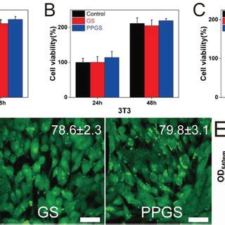 Biocompatibility Evaluation Of Gs And Ppgs Evaluation Of Cytotoxicity