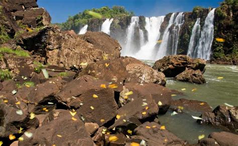 Foz Do Igua U Braziliaanse Kant Van Igua U Watervallen En Filmauto S