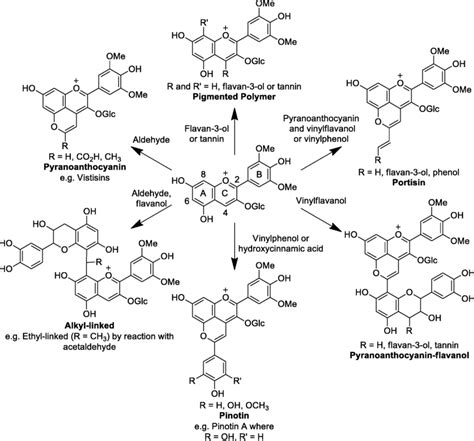 Tannins And Anthocyanins