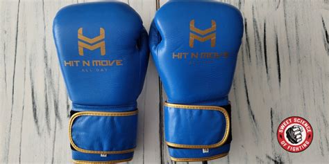 Hit N Move All Day Balance Boxing Gloves Review 2024 Sweet Science