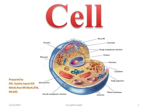 Ppt The Cell Powerpoint Presentation Free Download Id 7743424