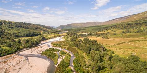 Rewilding for nature, climate and people | SCOTLAND: The Big Picture