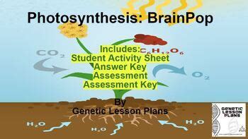 Photosynthesis Brainpop By Genetic Lesson Plans Tpt