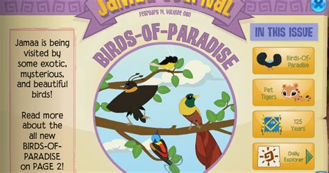 Birds Of Paradise Animal Jam Stream