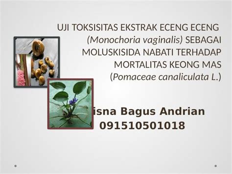 Pptx Uji Toksisitas Ekstrak Eceng Eceng Monochoria Vaginalis