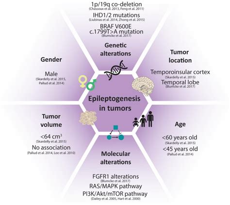 Pdf Altered Extracellular Matrix As An Alternative Risk Factor For