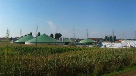 Cara Membuat Biogas Dari Kotoran Sapi Beserta Kegunaannya