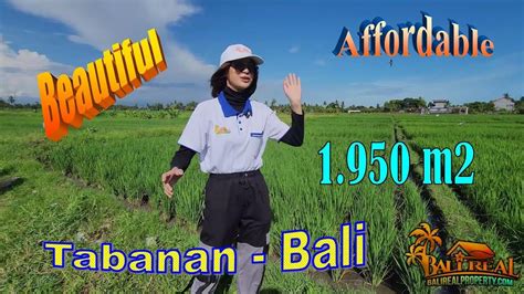 Dekat Pantai Yeh Gangga Tanah Dijual Murah Di Tabanan Bali Land For