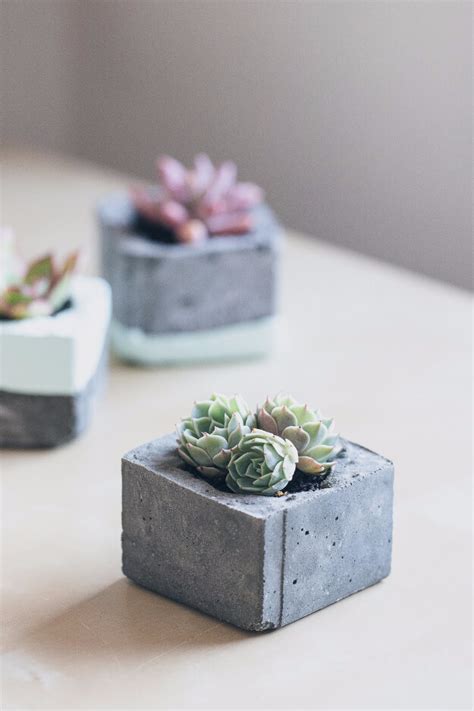 33 Best DIY Indoor and Outdoor Succulent Planter Ideas for 2021