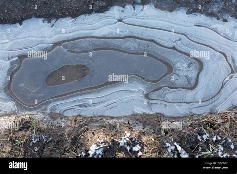 Natural Patterns Circular Ice Patterns In Frozen Water Puddles In