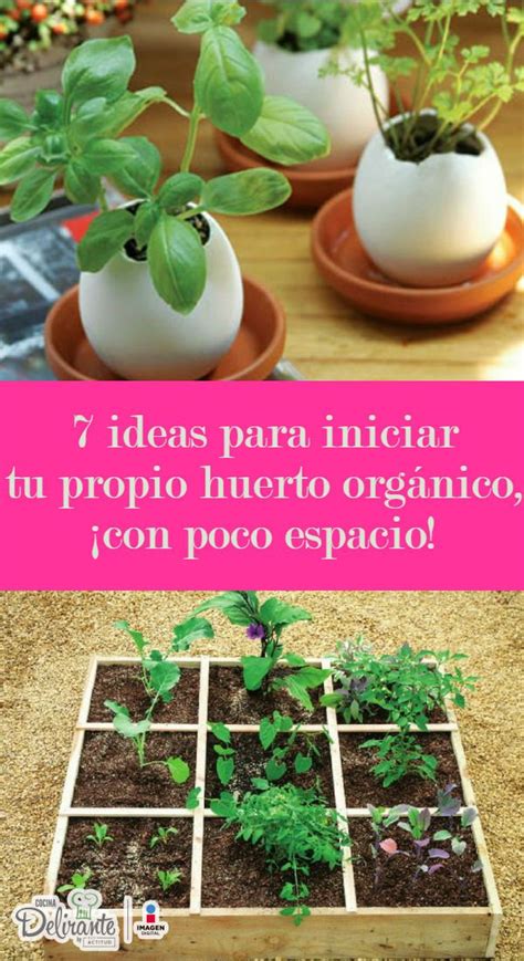 7 ideas para iniciar tu propio huerto orgánico con poco espacio