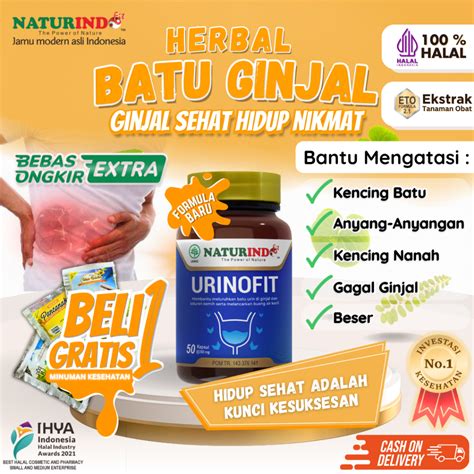 Jual Obat Batu Ginjal Herbal Kesehatan Ampuh Meluruhkan Kencing Batu