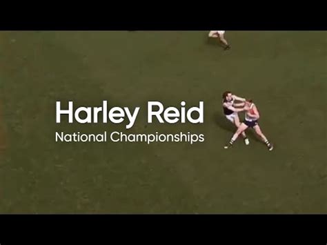 Harley Reid U Champs Vc V Vm Youtube