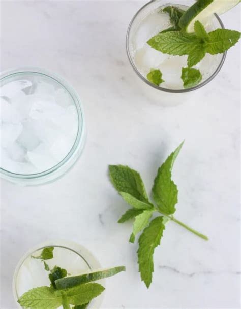 Virgin Mojito Recipe Mojito Mocktail Sustainable Cooks