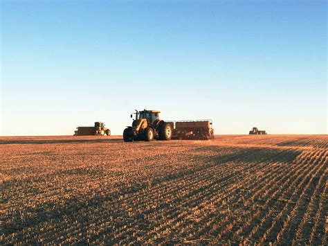 Brasil Pode Chegar A 40 Milhões De Hectares Plantados De Soja Gigante 163