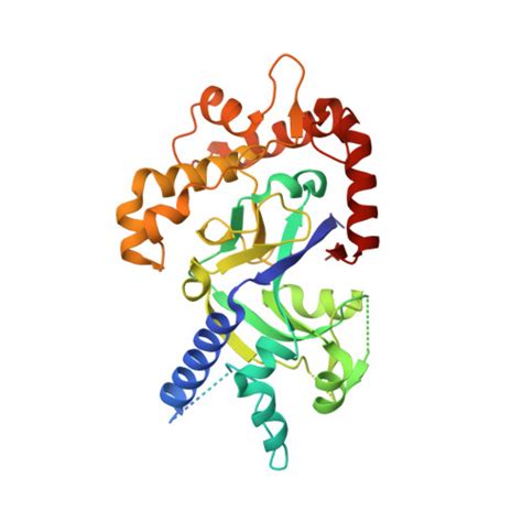 Rcsb Pdb 5foc Crystal Structure Of The Pfalciparum Cytosolic Leucyl