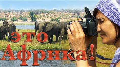 Путешествие по Африке. Часть 2. Африканское сафари и водопад Виктория ...