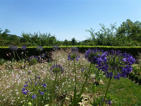 The Iris Garden In Villa La Massa Hotel Traditional Garden