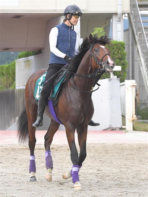 【pog】超良血馬ルペルカーリア、華麗なる一族 友道師「スイッチが入った」競馬・レースデイリースポーツ Online