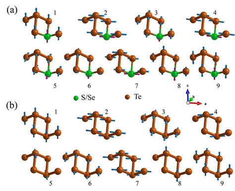 The Vibrating Patterns Of The Nine Phonon Modes Round Γ Point For Janus