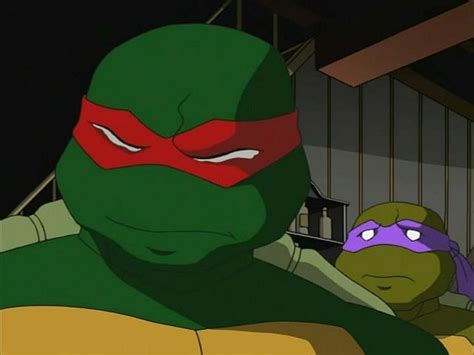 Raph Trying Not To Cry Over Injured Leo Tartarughe Ninja Ninja Arte