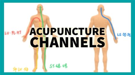 Tcm Anatomy System Of Acupuncture Channels Youtube