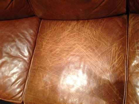 How Do You Fix Dog Scratches On A Leather Couch