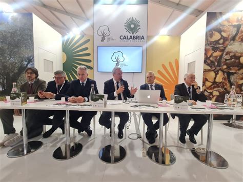 Il Consorzio Olio Di Calabria Igp Presenta Gli Oli Extravergine