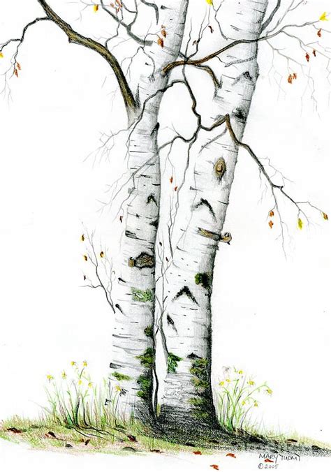 1000+ images about Birch trees and bark love on Pinterest | Trees ...