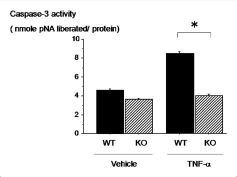 Osteopontin Opn Deficiency Suppresses Tumor Necrosis Factor