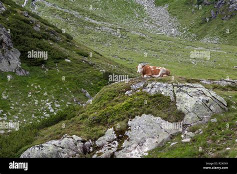 Landscape in Carinthia Stock Photo - Alamy