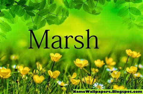 Marsh Name Wallpapers Marsh Name Wallpaper Urdu Name Meaning Name