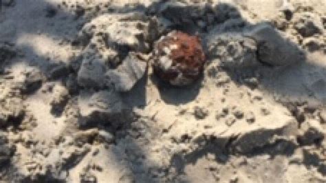 Hurricane Dorian Civil War Cannonballs Unearthed On Beach After Storm Au — Australia