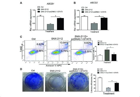 Stat Overexpression Reversing Snx Induced Ecslcs Apoptosis