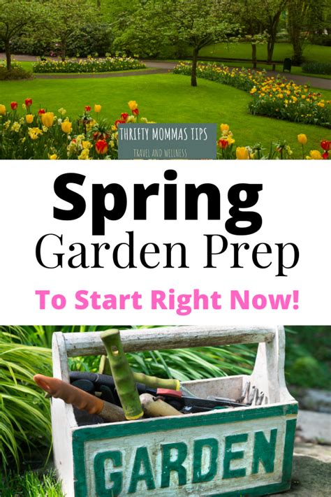 Spring Garden Prep Get Ready For The Growing Season Thrifty Mommas Tips