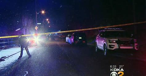 Police Man Found Fatally Shot Inside Running Vehicle In Hazelwood