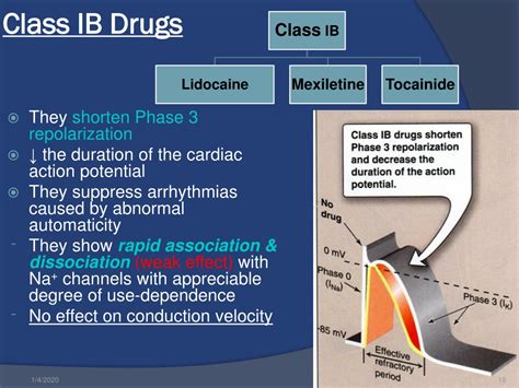 Ppt Antiarrhythmic Drugs Powerpoint Presentation Free Download Id 9560417