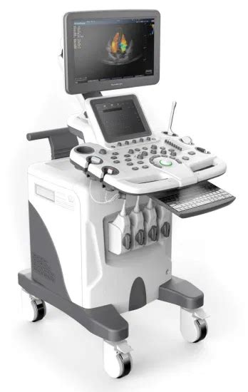 S30 Digital Color Doppler Ultrasound System 3D 4D Ecografo Doppler With