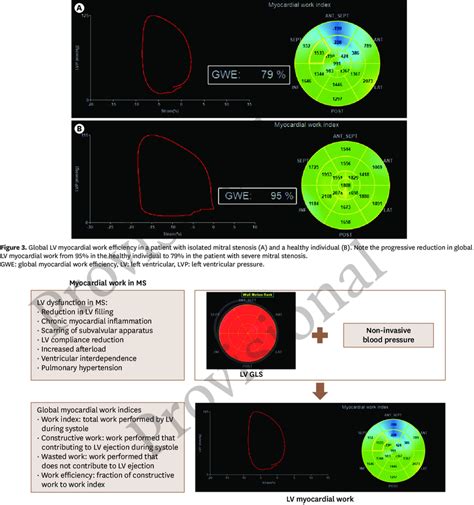 Myocardial Work In MS GLS Global Longitudinal Strain LV Left