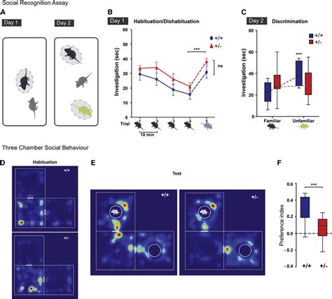 Bcl11a þ À Mice Present with a Cognitive and Behavioral Phenotype A