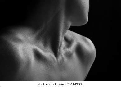 Hundred Nude Body Scape Royalty Free Images Stock Photos Pictures Shutterstock