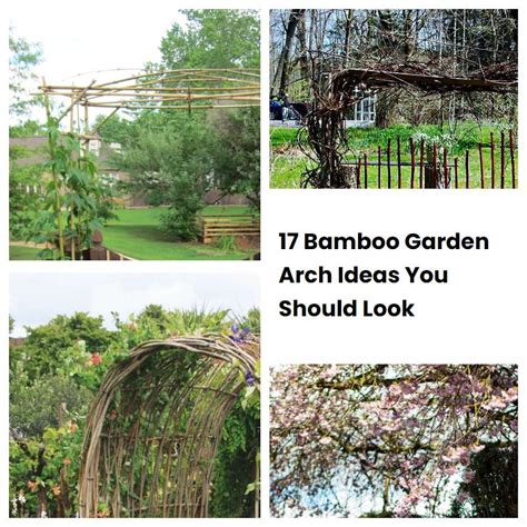 17 Bamboo Garden Arch Ideas You Should Look SharonSable