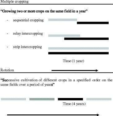 Differences Between And Definitions Of Rotation Multiple Cropping And