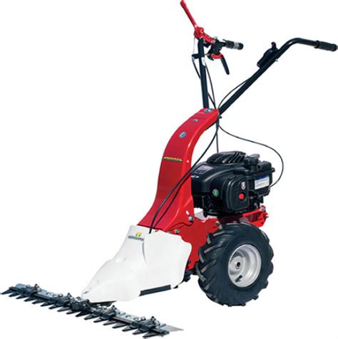 Eurosystems M Briggs Stratton Exi Series